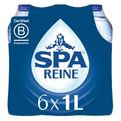 SPA REINE PET 6x1L
